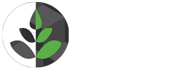 Fachini Hortifruti